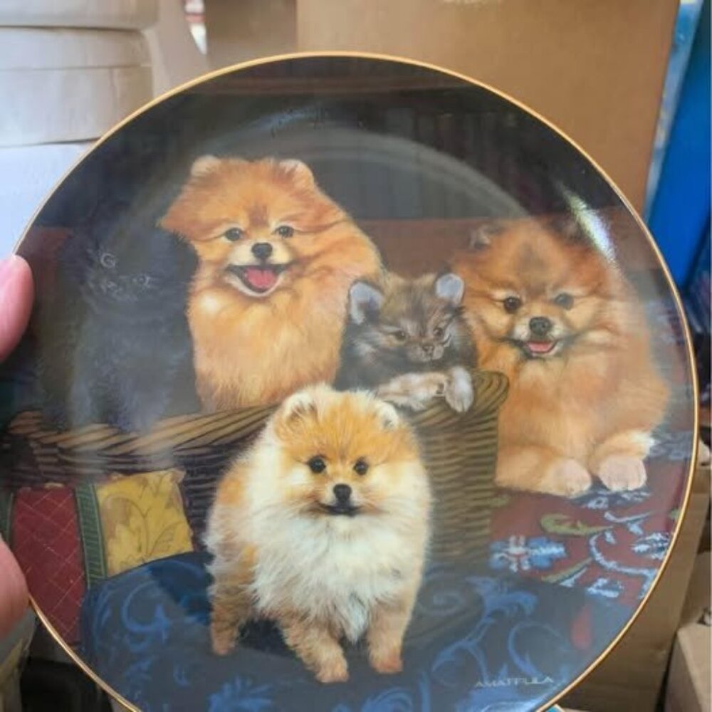 Danbury Mint Pomeranian Plate 8 1/2 inches